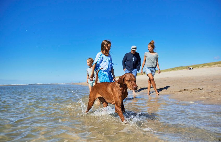 Eine Familie mit ihrem Hund am Hundestrand