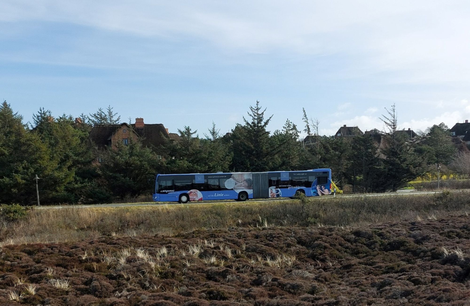Bus der Sylter Verkehrsgesellschaft fährt von Kampen nach List auf Sylt