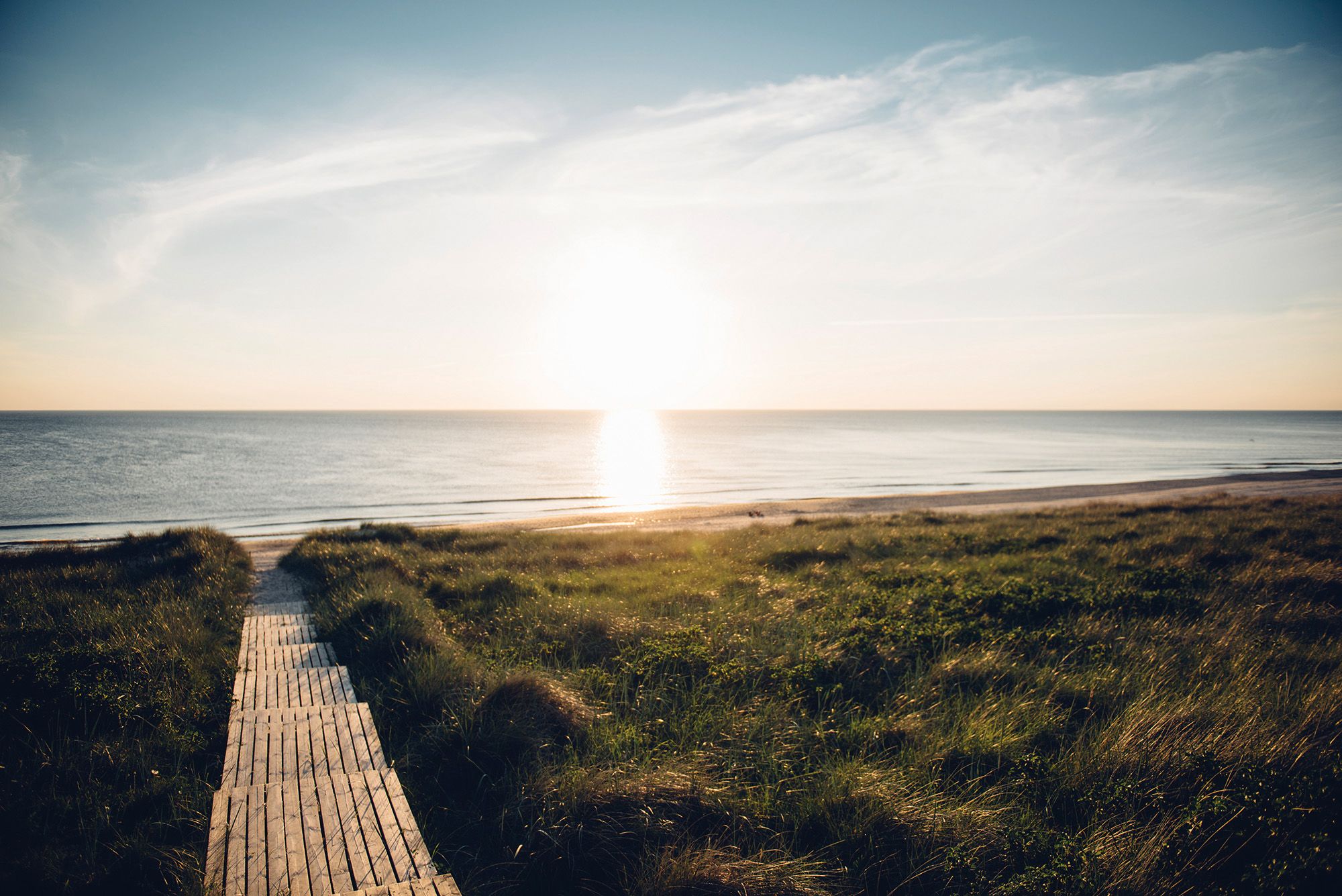 Holzsteg führt über die bewachsene Düne zum Weststrand von Sylt