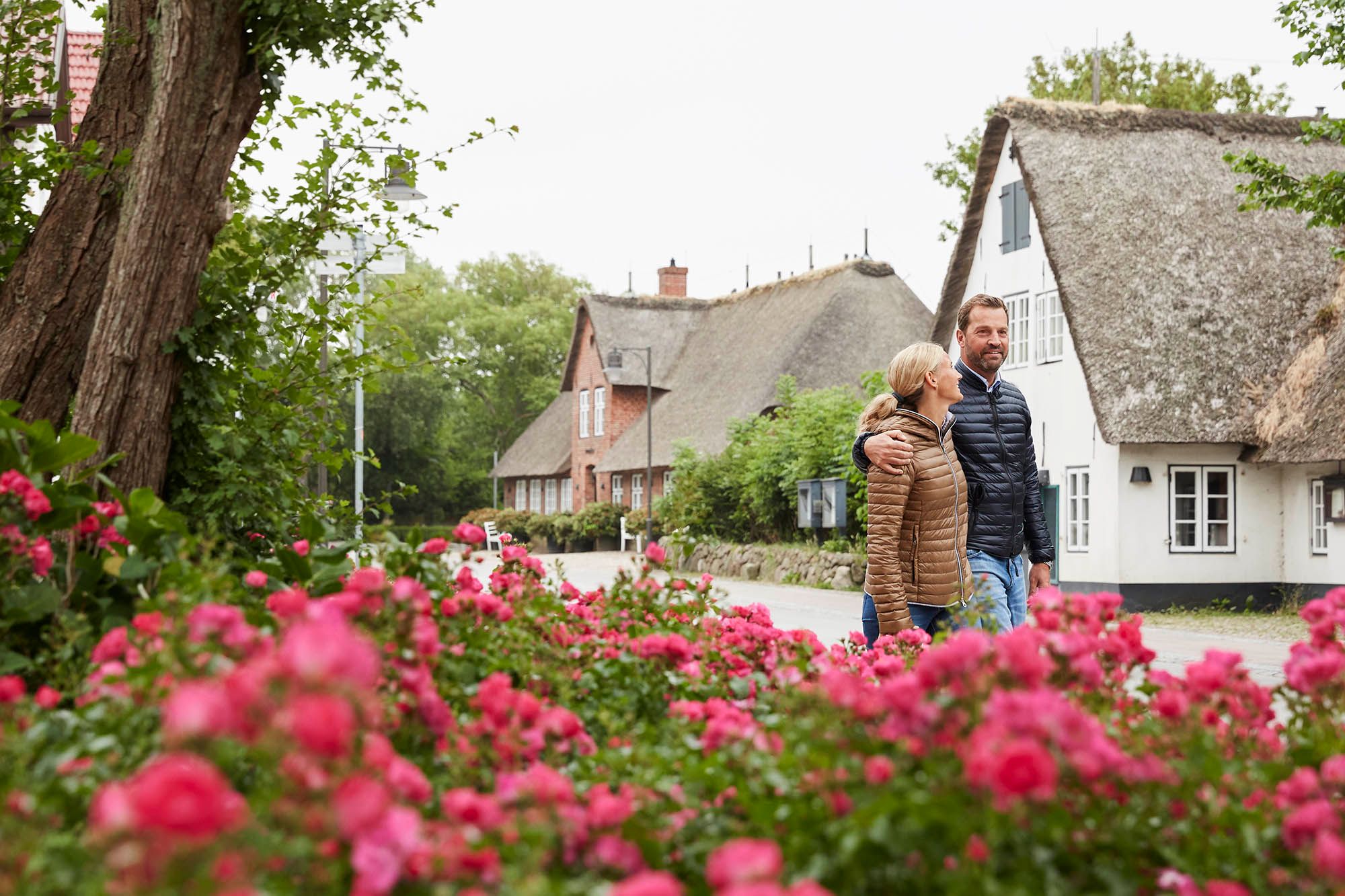 Mann und Frau spazieren durch den Gurtstig in Keitum - im Vordergrund Heckenrosen, im Hintergund Reetdachhäuser