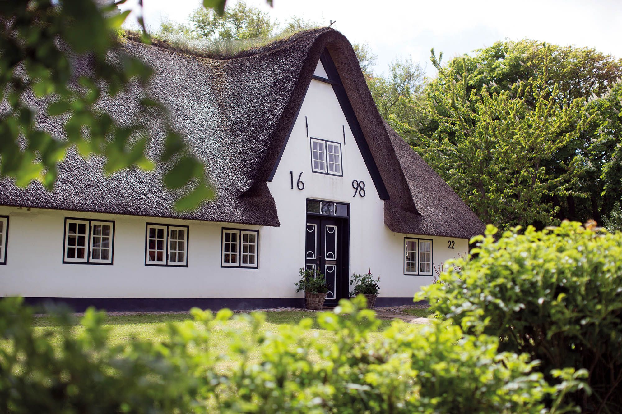 Weißes Reetdachhaus in Keitum auf Sylt, im Vordergrund Heckenrosen