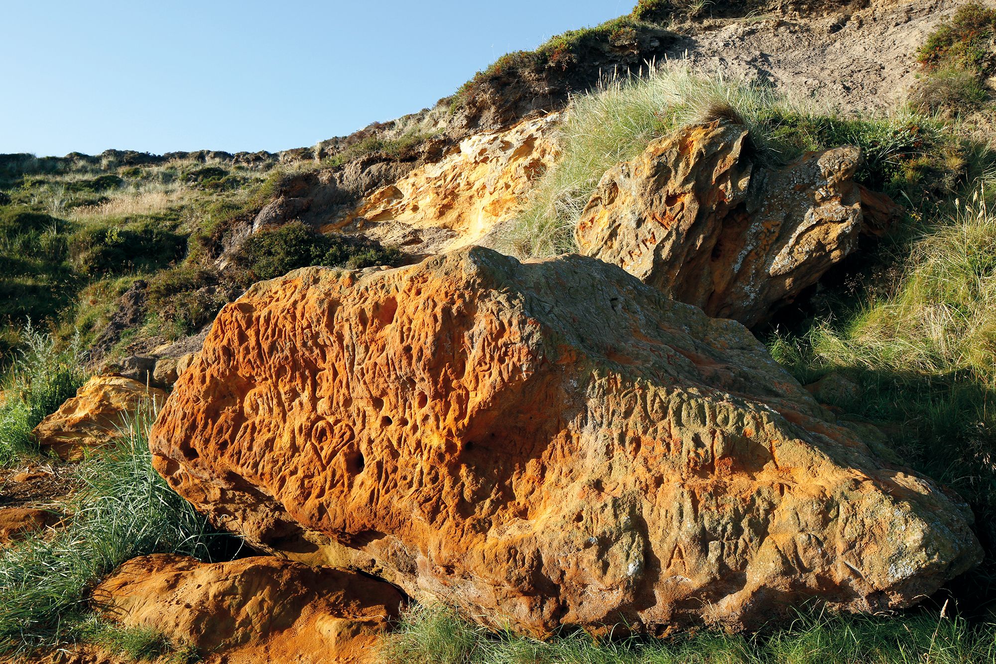 Stein am Morsum-Kliff