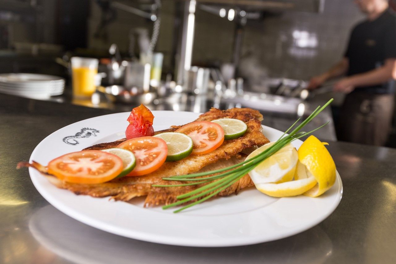 Samoa Seepferdchen Rantum Sylt Teller