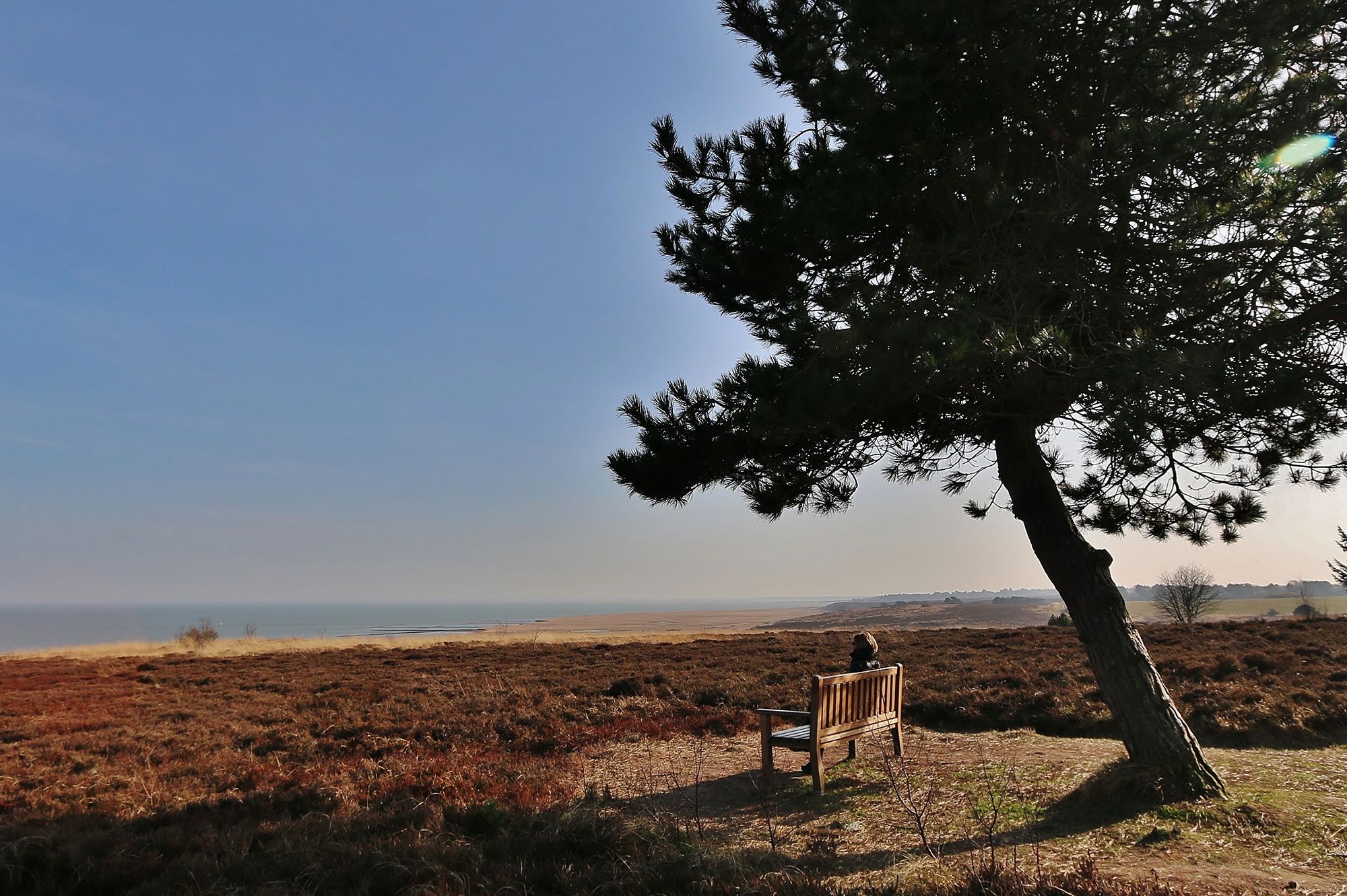 Bank in der Heide an der Kupferkanne in Kampen mit Blick aufs Wattenmeer