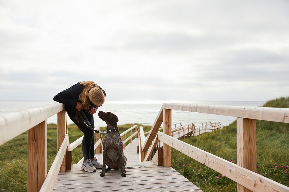 Frau macht eine Pause vom Joggen mit Ihrem Hund auf einem Holzsteg zum Nordseestrand von Sylt
