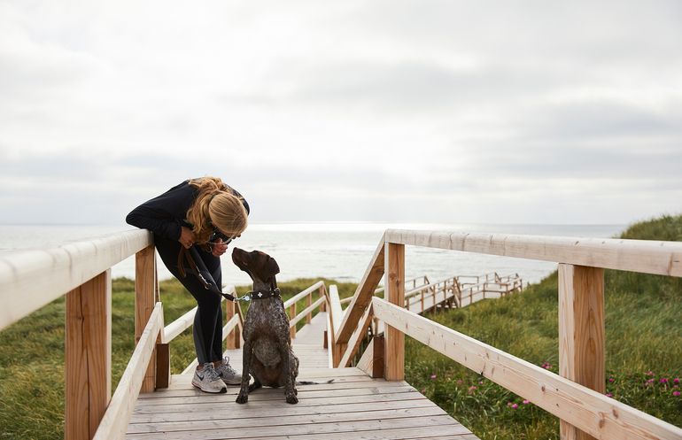 Frau macht eine Pause vom Joggen mit Ihrem Hund auf einem Holzsteg zum Nordseestrand von Sylt