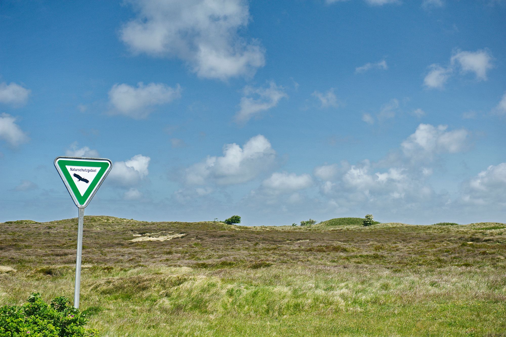 Naturschutzgebiet in Morsum auf Sylt