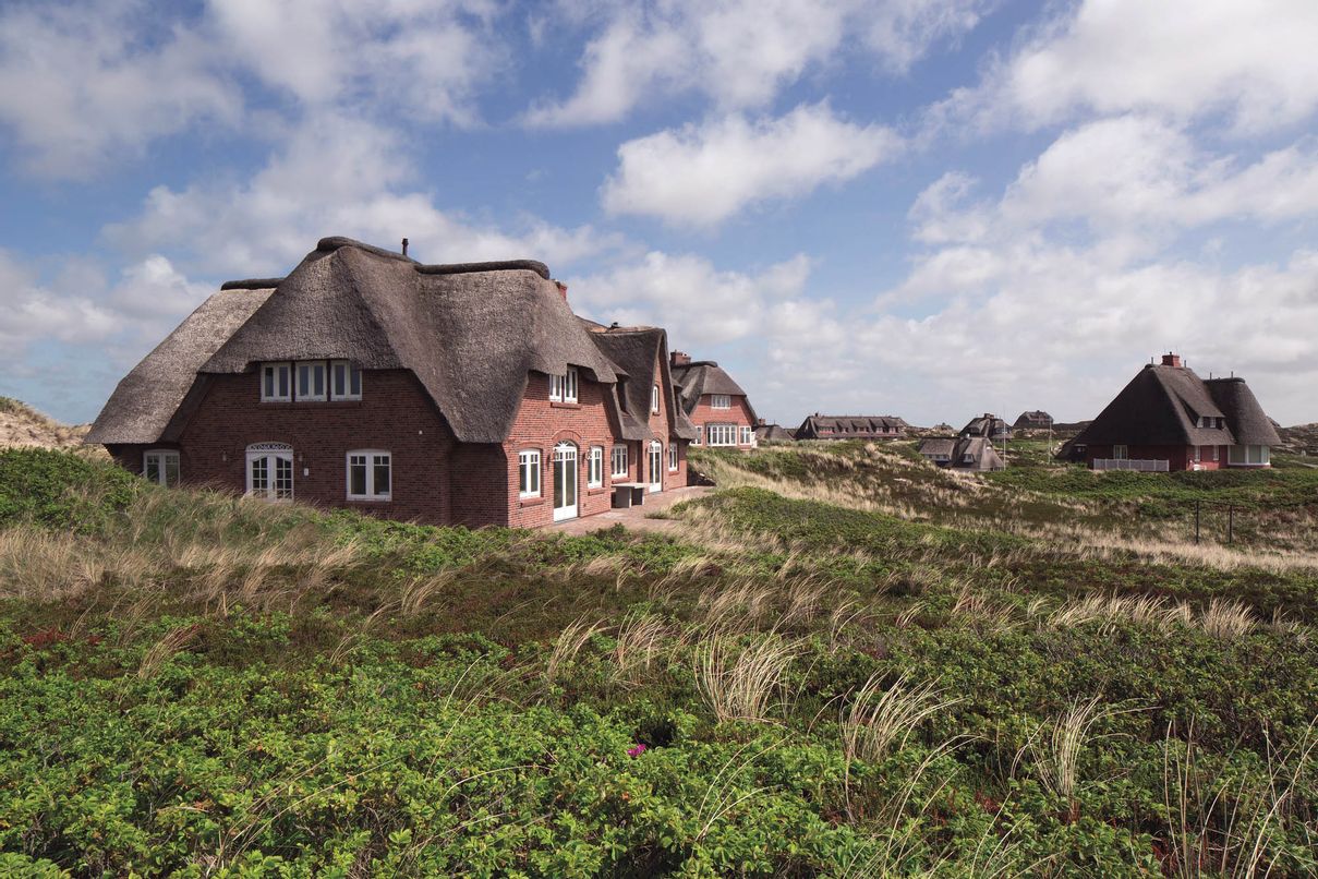 Reetdachhaus auf mit Heckenrosen bewachsener Ergebung in Rantum auf Sylt