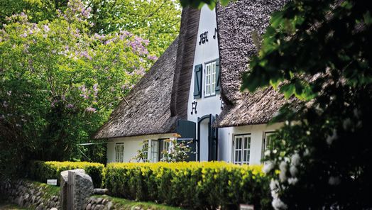 Weißes Reetdachhaus mit bewachsenem Friesenwall in Keitum