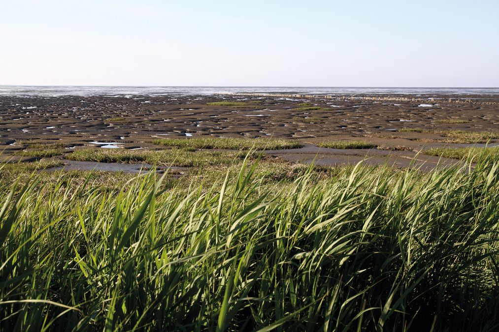 Wattenmeer in Morsum