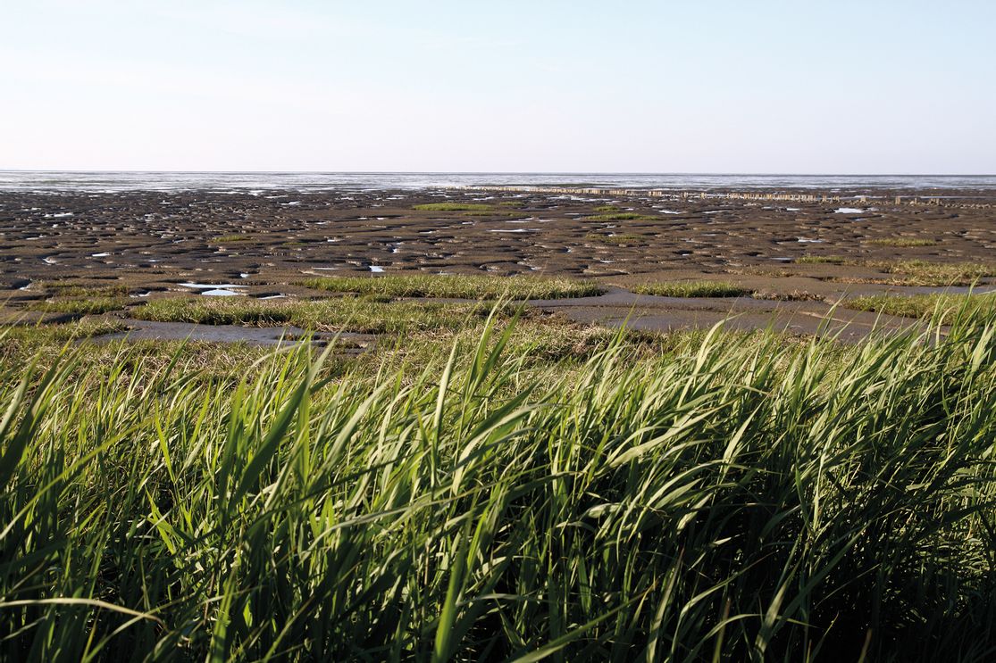 Wattenmeer in Morsum
