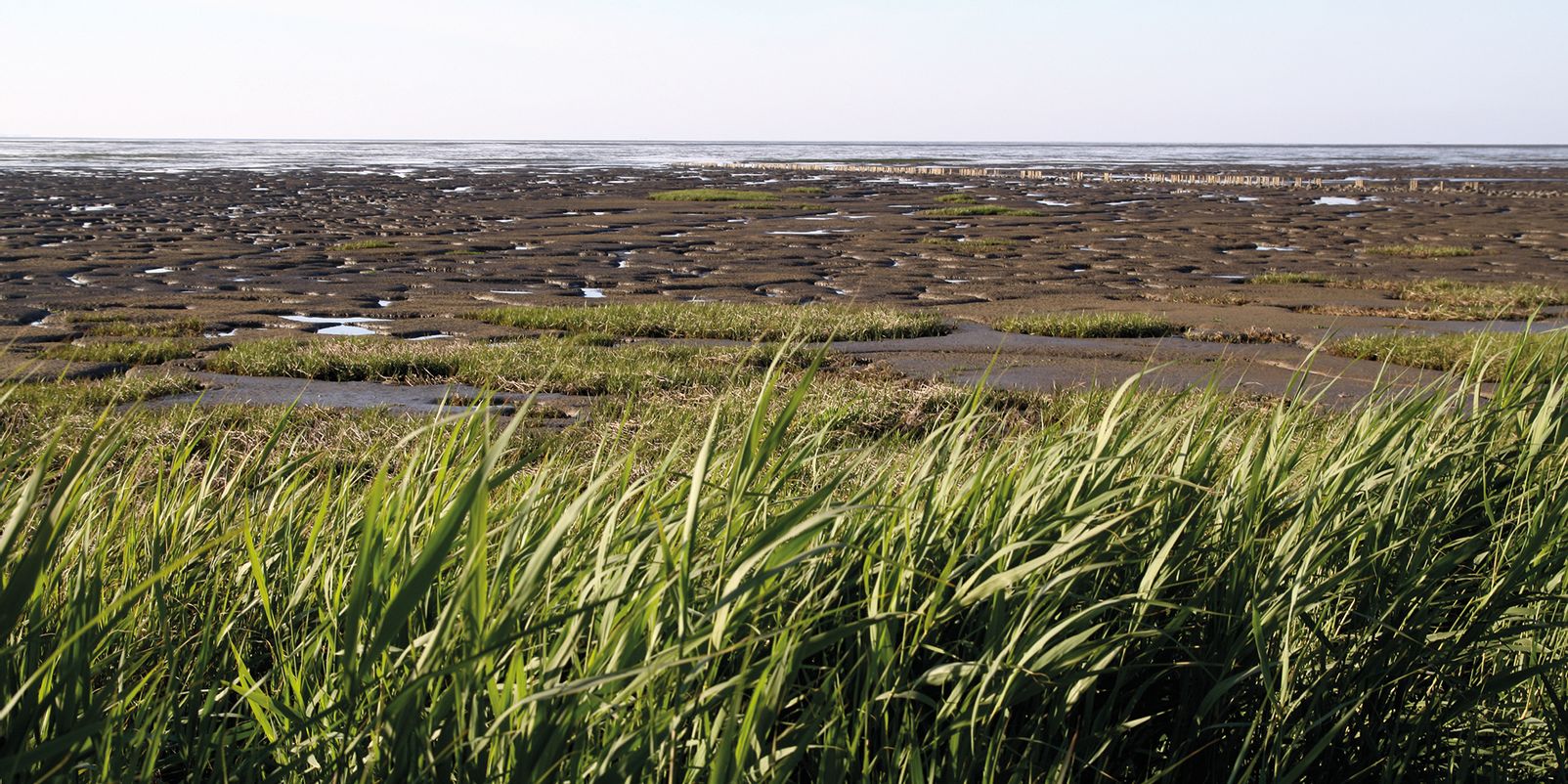 Insel Sylt Tourismus-Service ist neuer Nationalpark-Partner