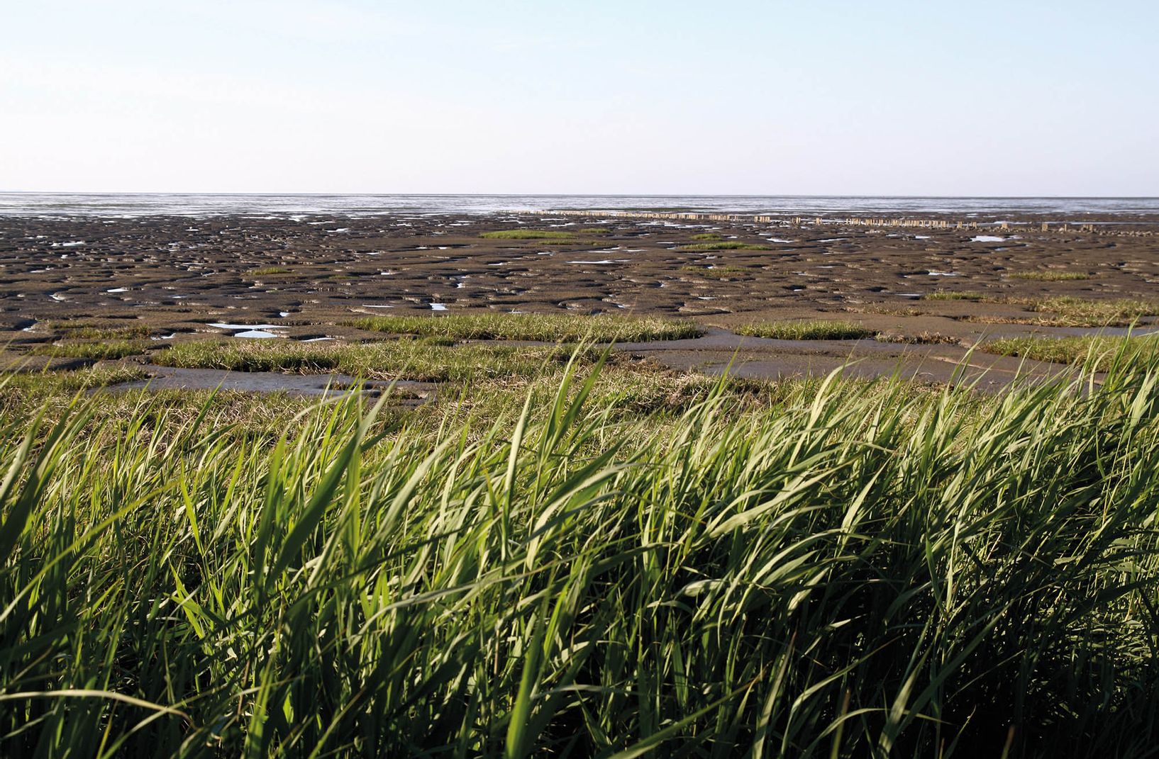Wattenmeer in Morsum auf Sylt
