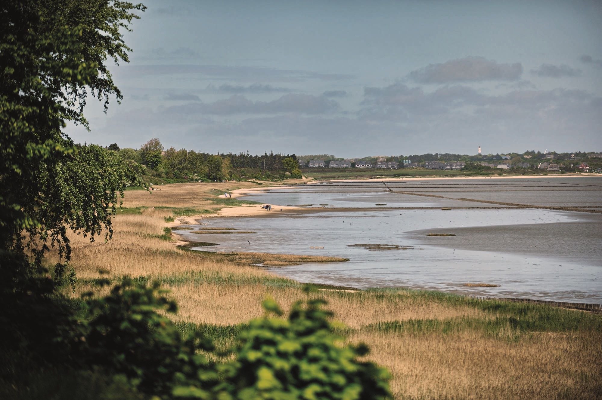 Wattenmeer in Keitum auf Sylt