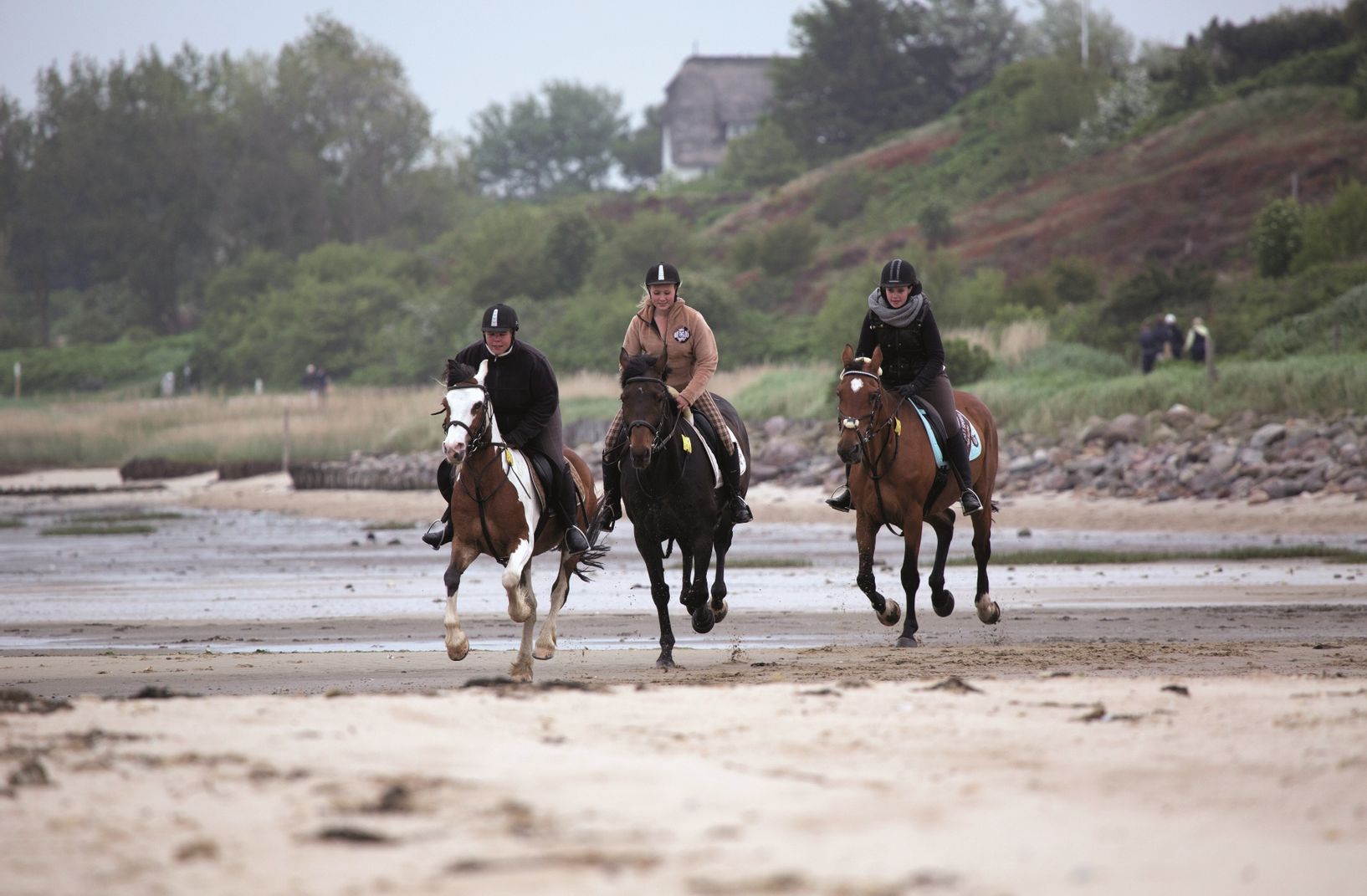 Drei Frauen galoppieren am Munkmarscher Strand am Wattenmeer auf drei Pferden