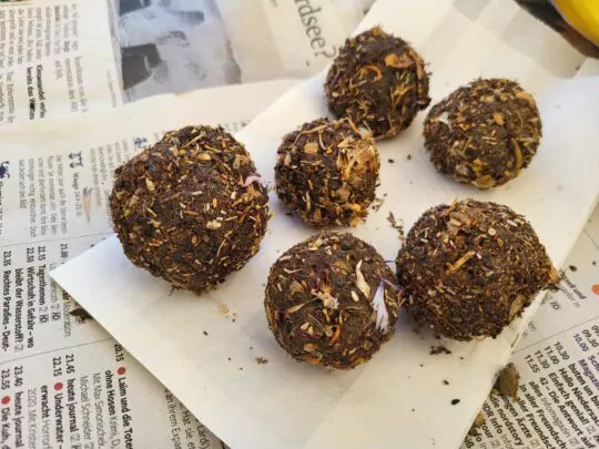 Kreative Ideen für mehr Artenvielfalt