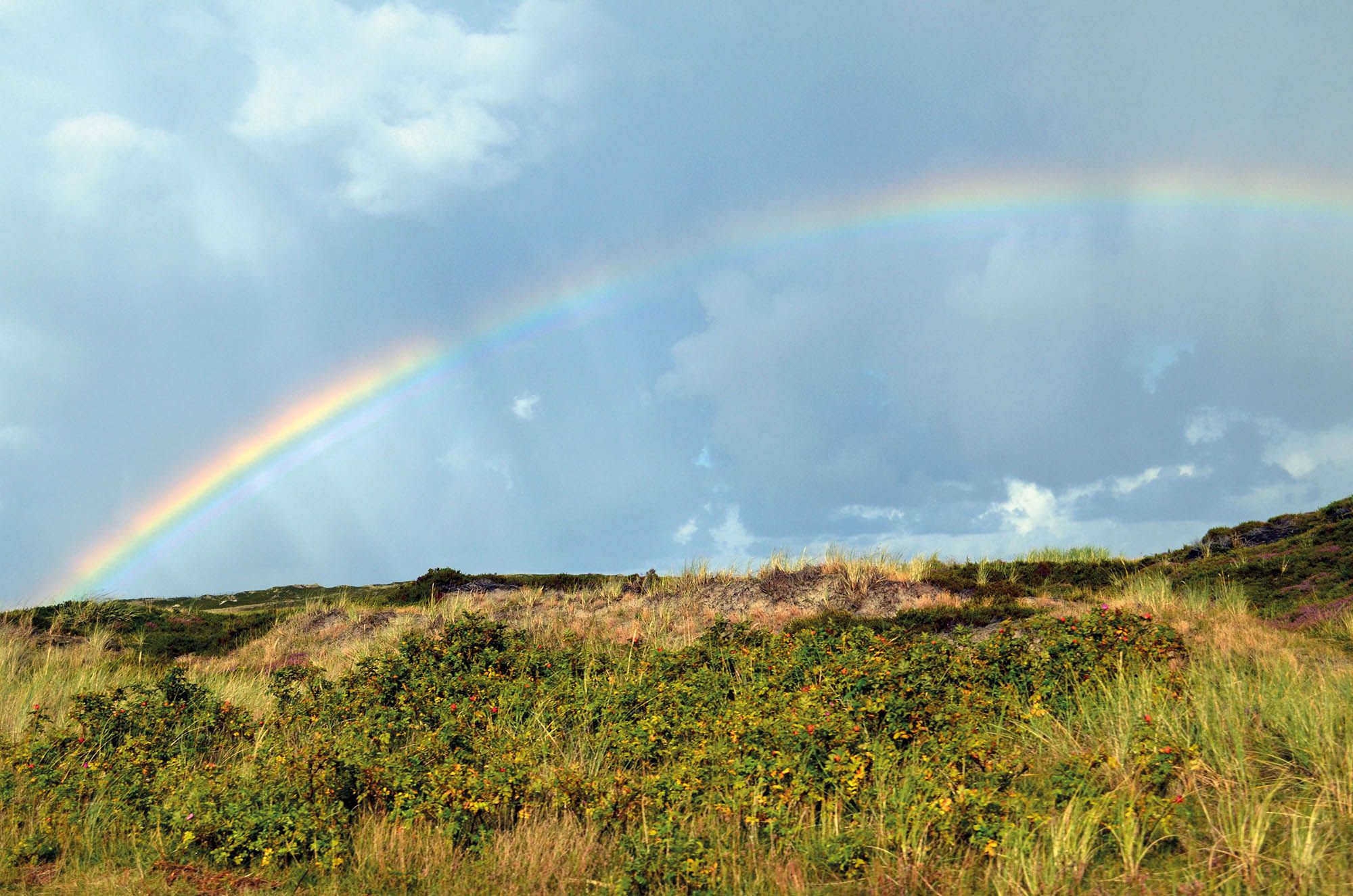 Regenbogen über Sylt