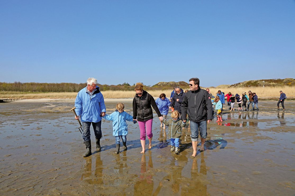 Wattwandern in Kampen auf Sylt