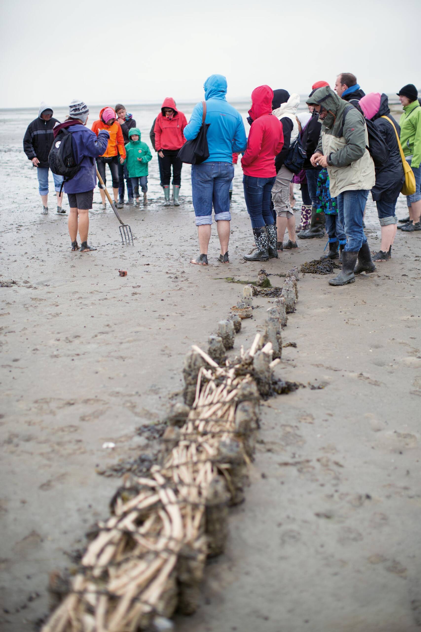 Lahnung im Wattenmeer mit der Gruppe, die an einer Wattwanderung teilnehmen