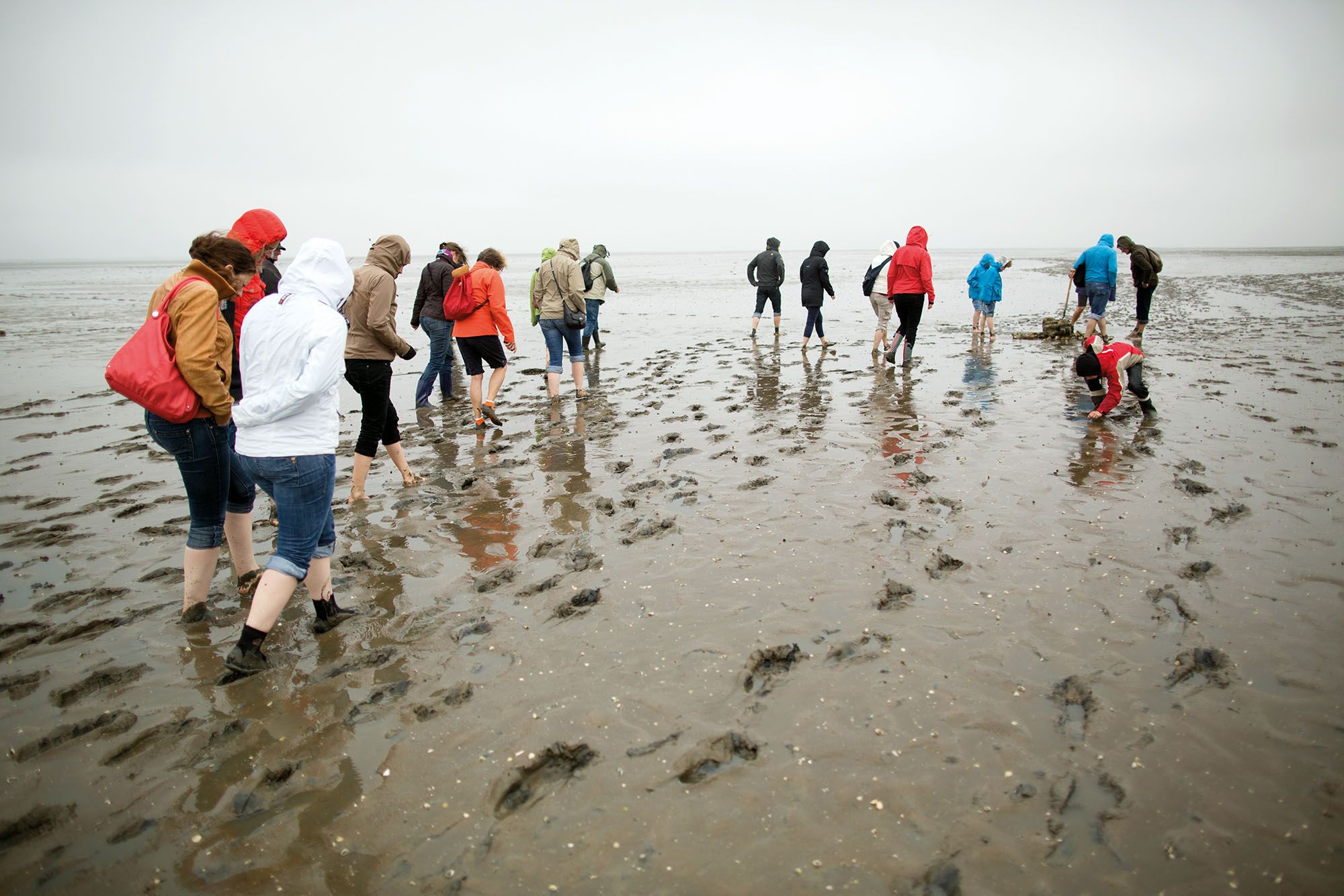Geführte Wattwanderung auf Sylt