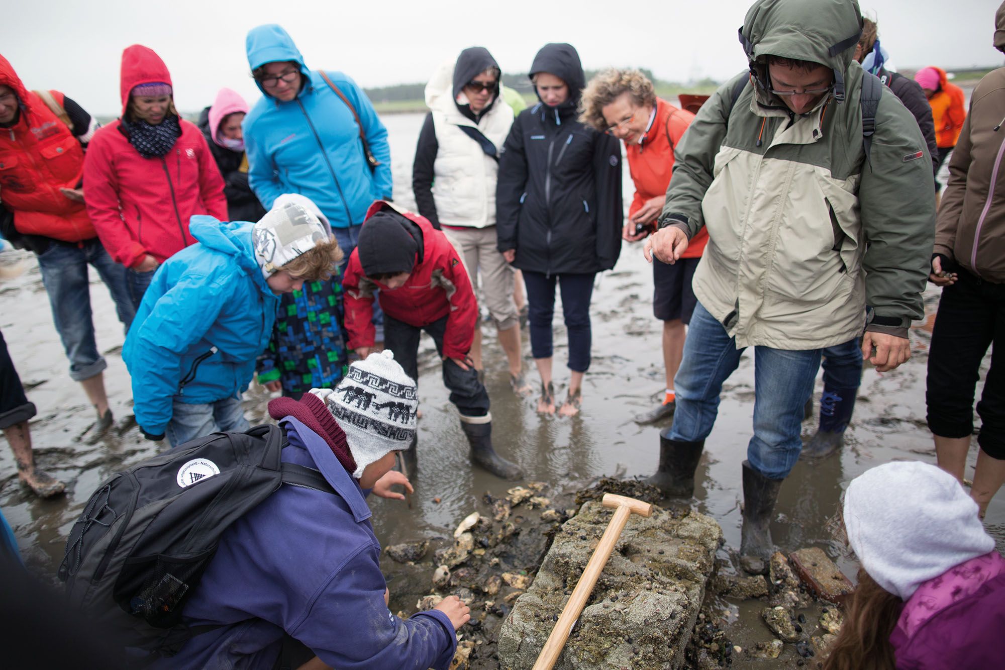 Wattführerin zeigt Teilnehmern einer Wattwanderung was im Sylter Wattenmeer lebt