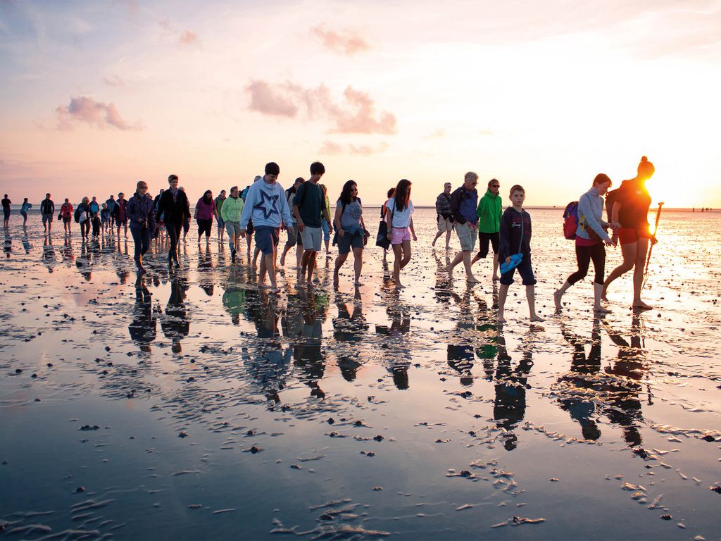 Wattwanderung der Schutzstation Wattenmeer