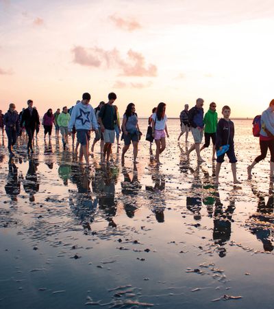 Wattwanderung der Schutzstation Wattenmeer