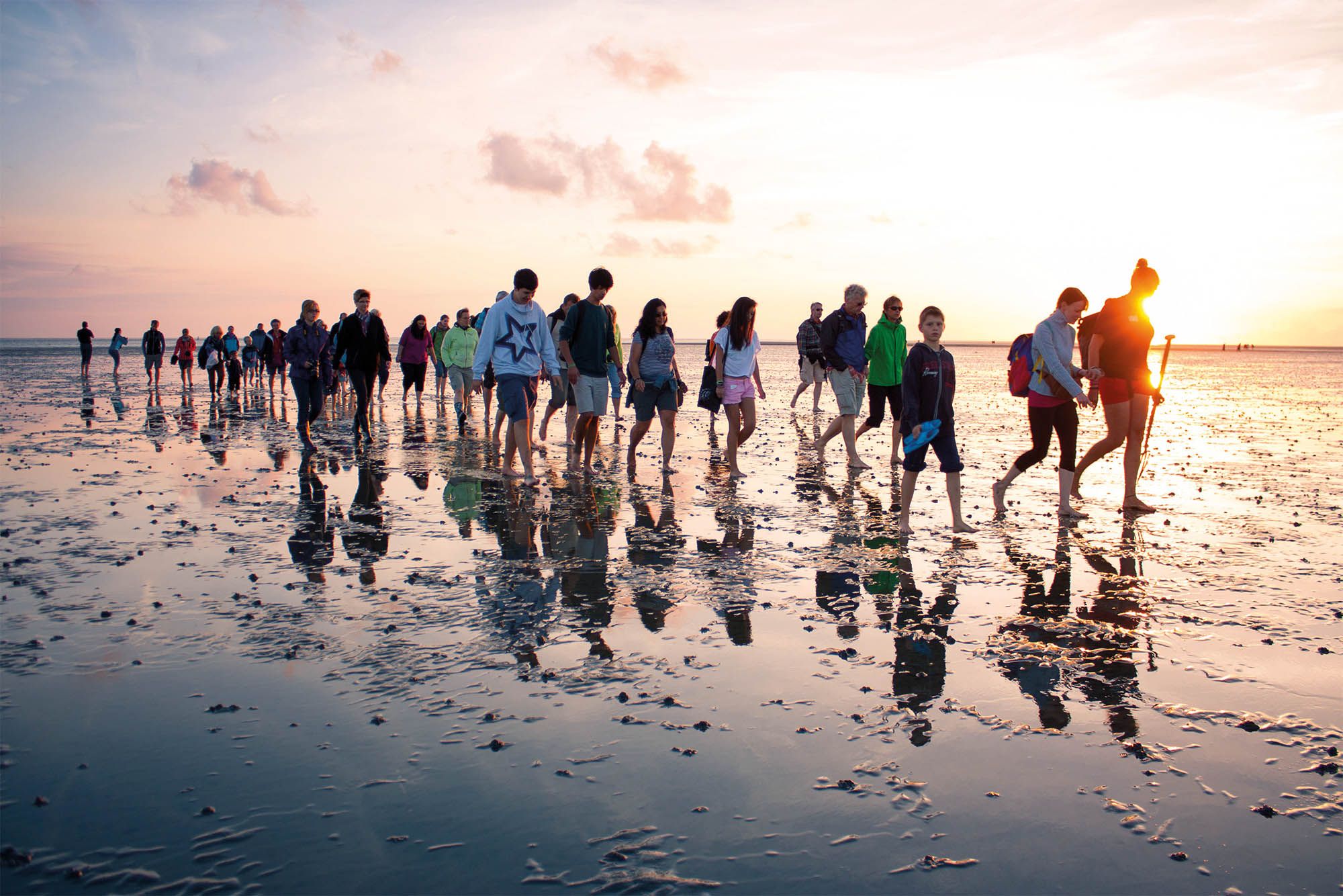 Wattwanderung der Schutzstation Wattenmeer