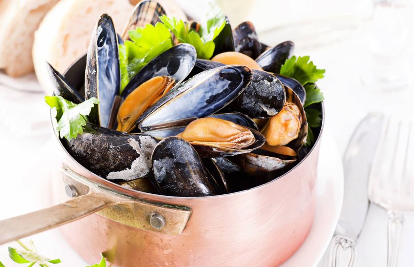 Muscheln