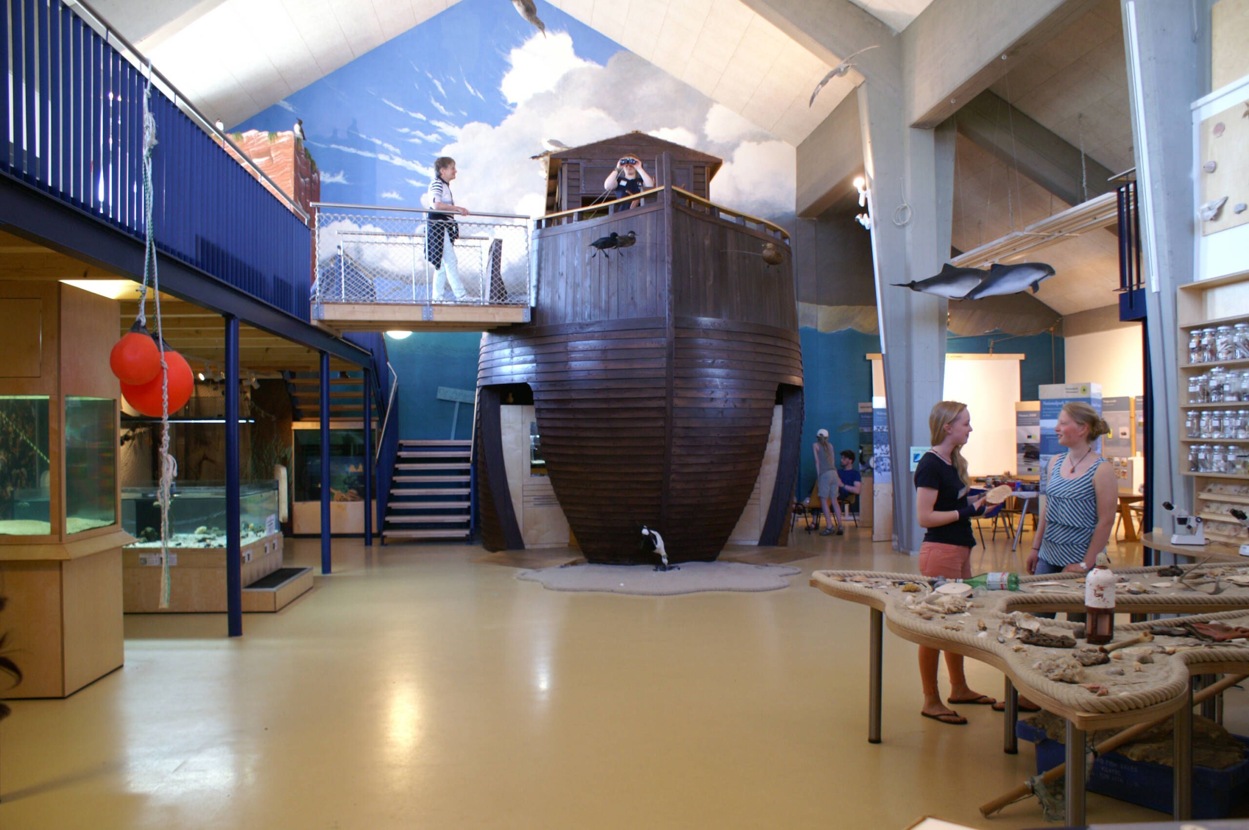 Schutzstation Wattenmeer Arche Wattenmeer