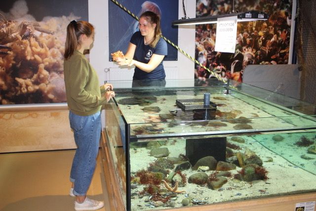 Schutzstation Wattenmeer Tiere