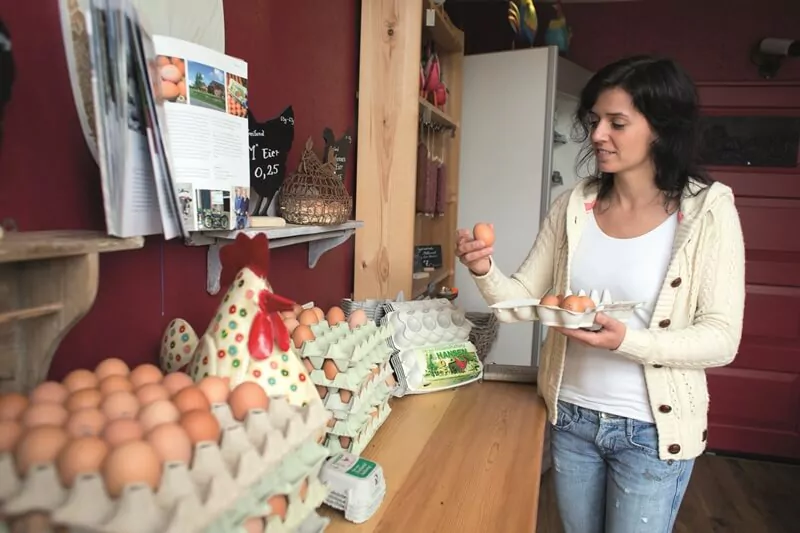 Dunkelhaarige Frau packt sich frische Eier in einen Eierkarton