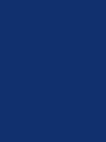 ISTS blau