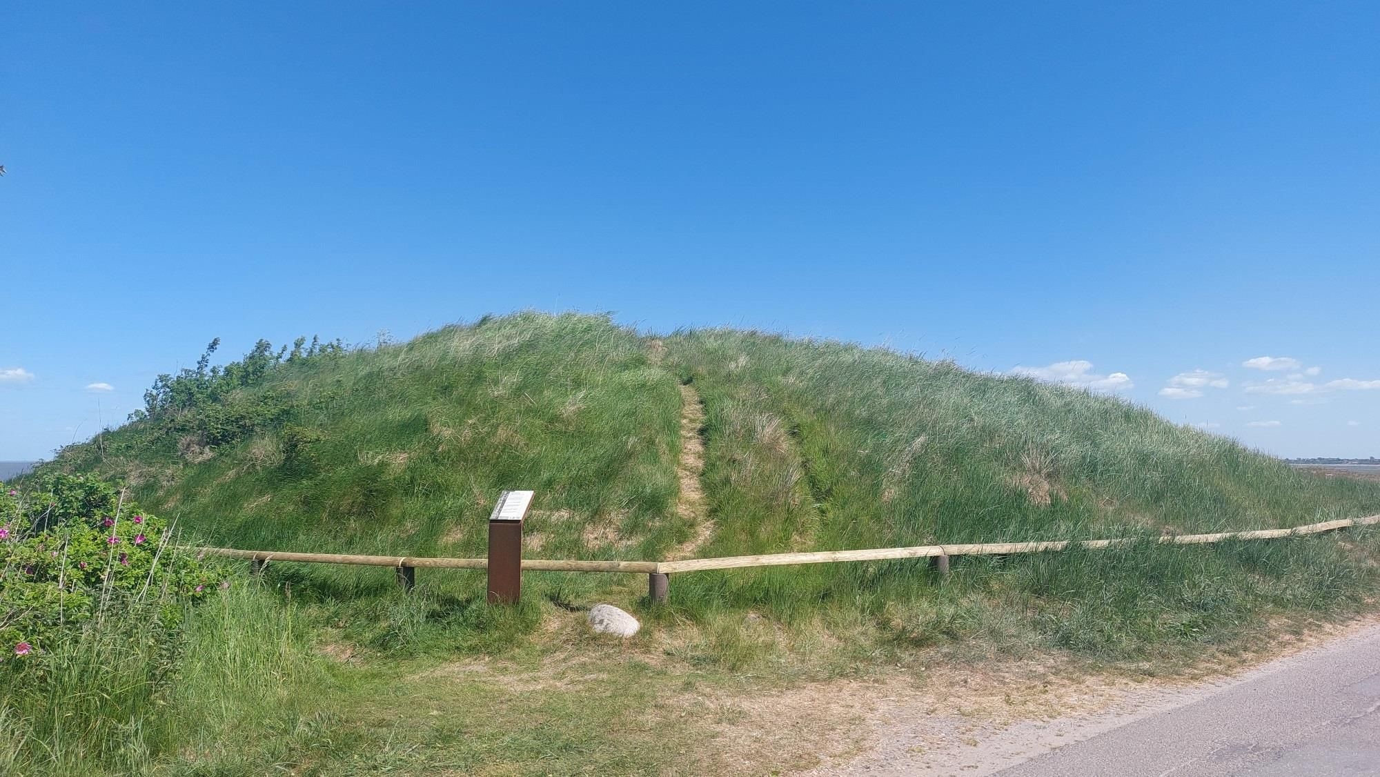 mit Gras bewachsenes Hünengrab Tipkenhoog