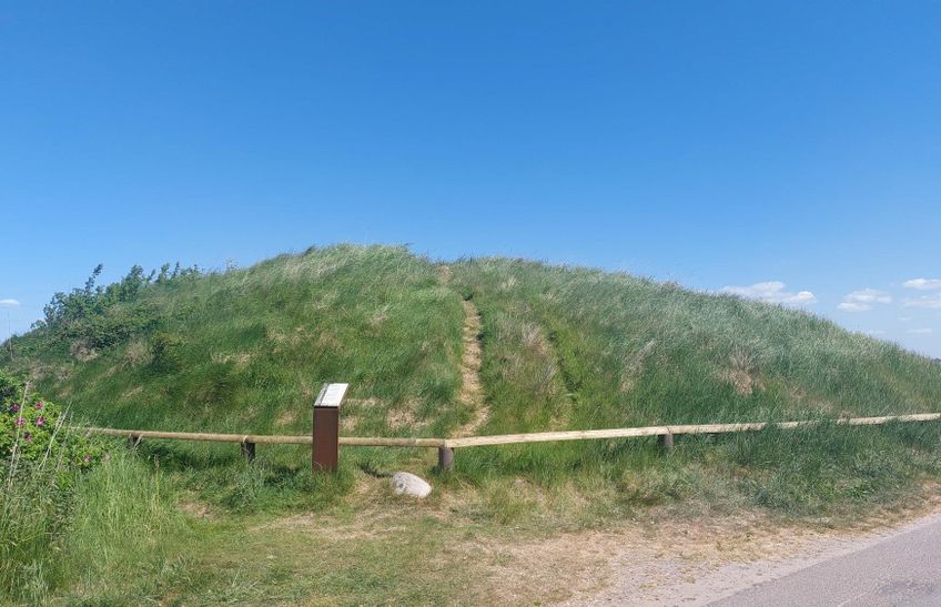 mit Gras bewachsenes Hünengrab Tipkenhoog