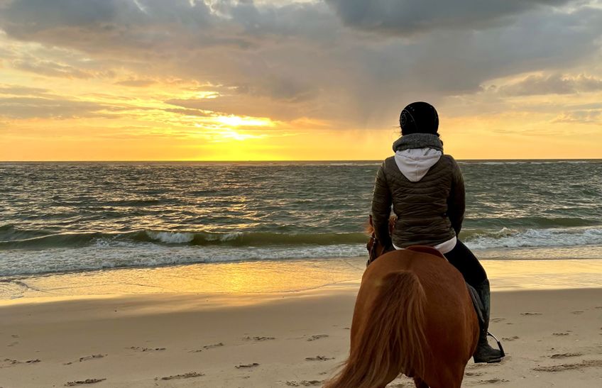 Strandreiter Sylt