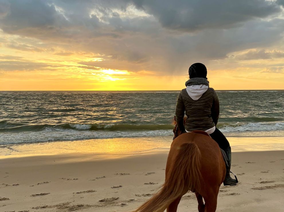 Strandreiter Sylt