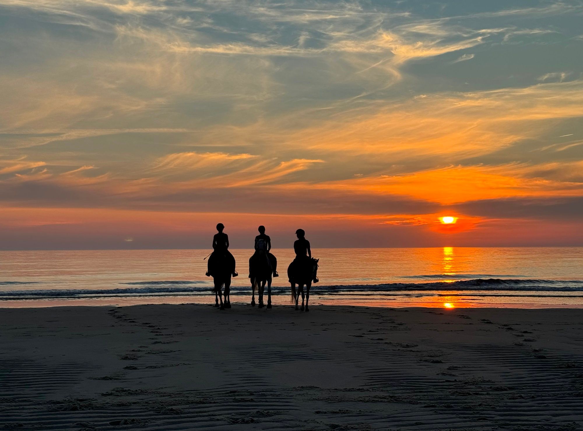 Strandreiter Sylt