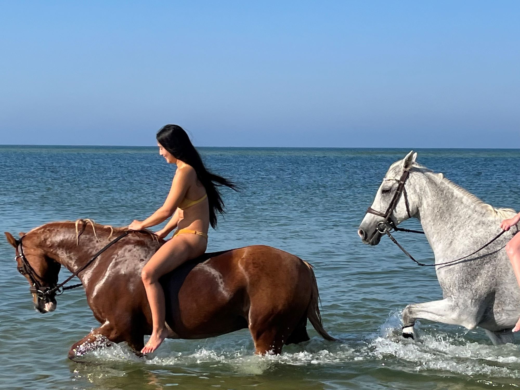 Strandreiter Sylt