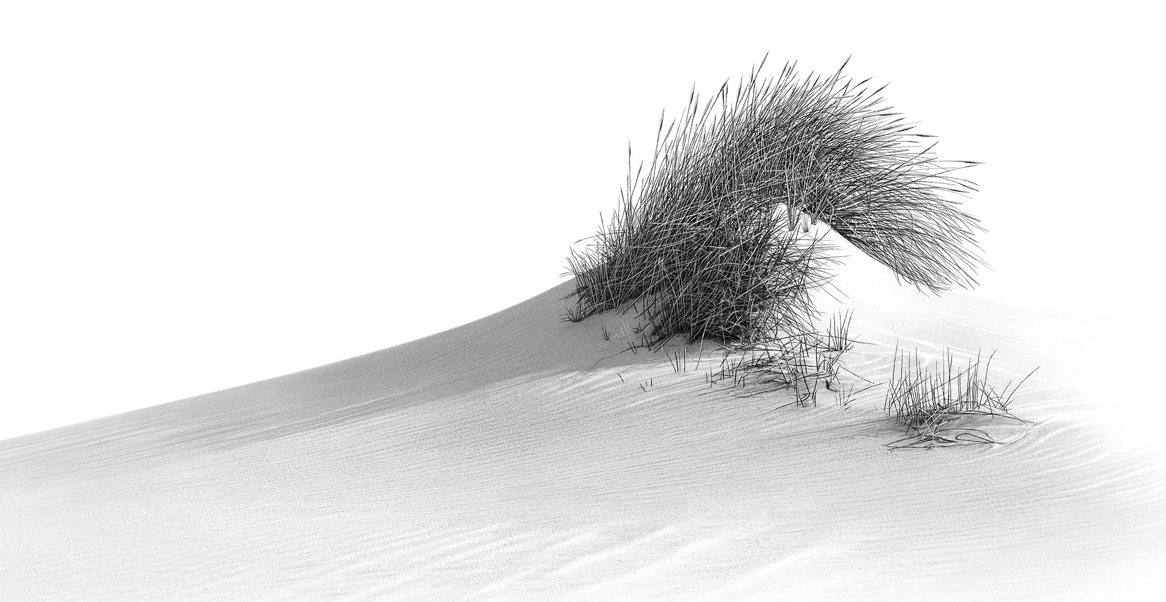 Wanderdüne List Karl Hoffmann Galerie am Meer