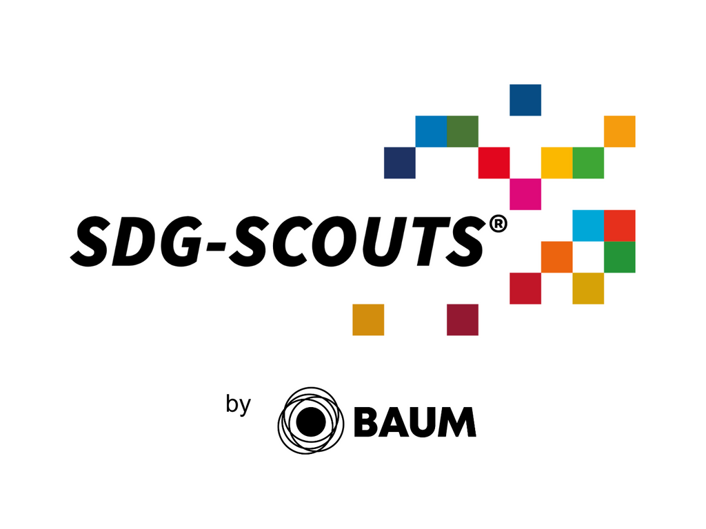 Siegel-SDG-Scouts