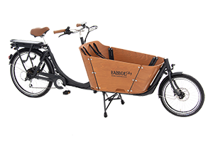 Freigestelltes Bild eines Babboe City E-Lastenrad aus dem E-Mobility Center in Rantum