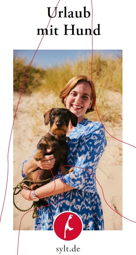 Titelbild des Flyers Urlaub mit Hund