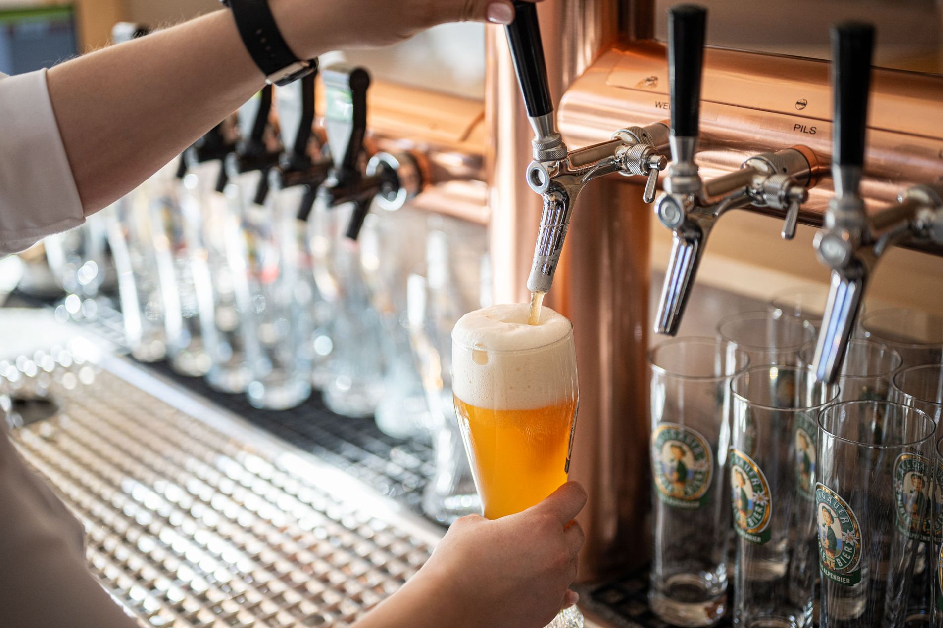 Frisch gezapftes Bier läuft in ein Glas an einer Theke mit mehreren Zapfhähnen.