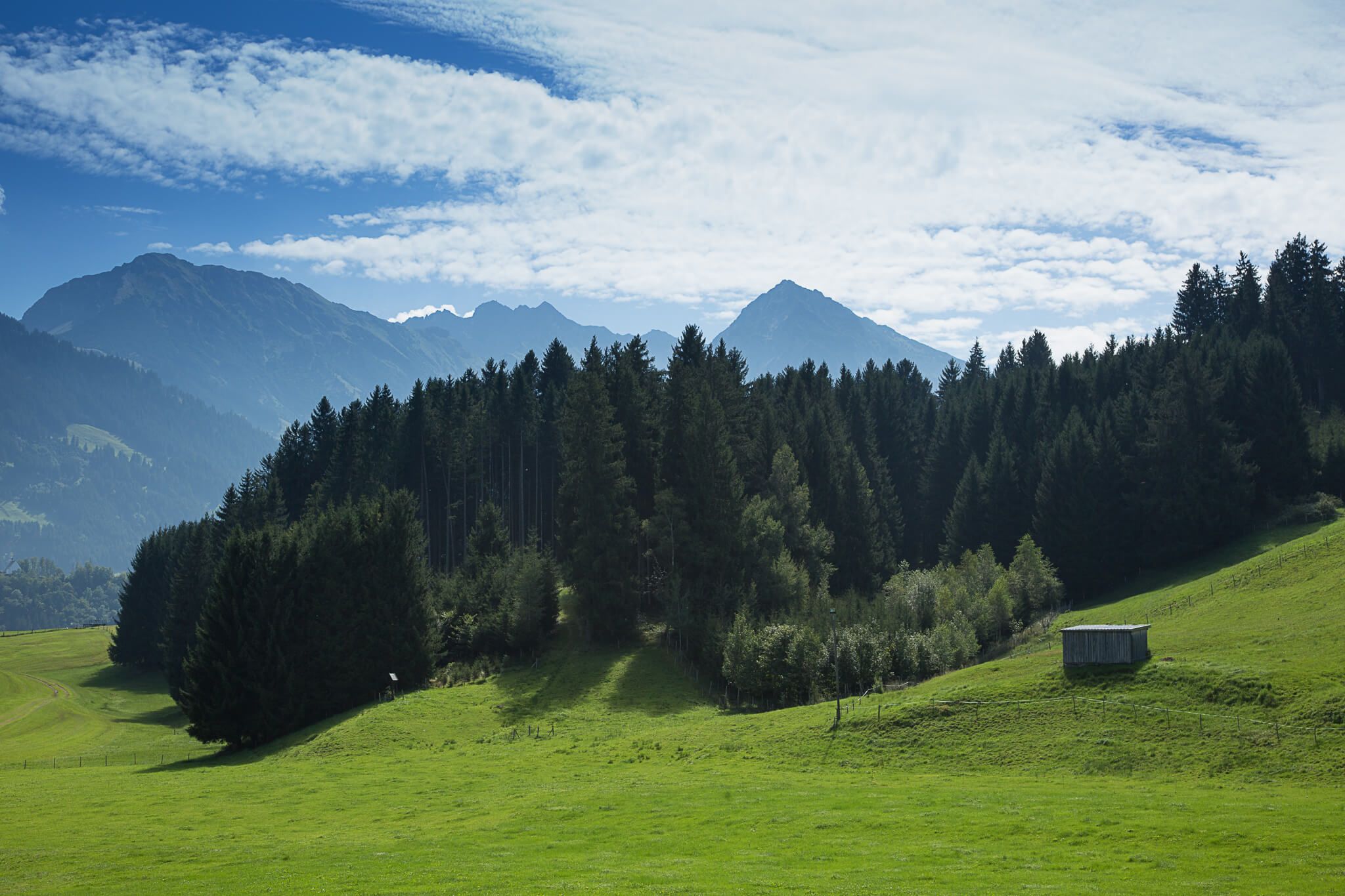 Saftig grüne Wiese mit vereinzelter Hütte, dichter Wald und imposante Bergkulisse im Hintergrund unter blauem Himmel