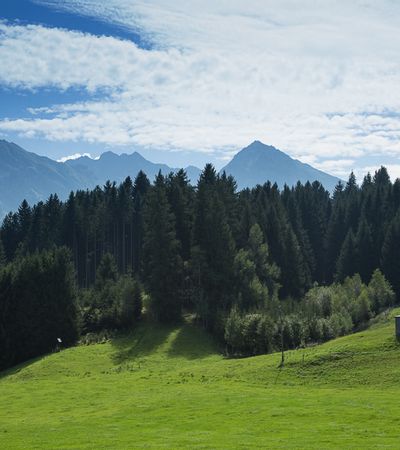 Saftig grüne Wiese mit vereinzelter Hütte, dichter Wald und imposante Bergkulisse im Hintergrund unter blauem Himmel