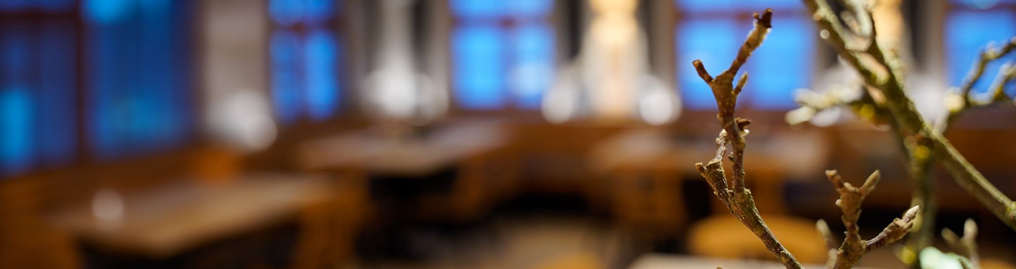 Dekorativer Zweig im Vordergrund, dahinter unscharfer Gastraum mit warmem Licht.